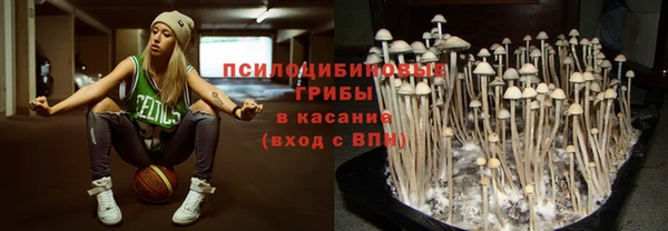 гидра Абаза