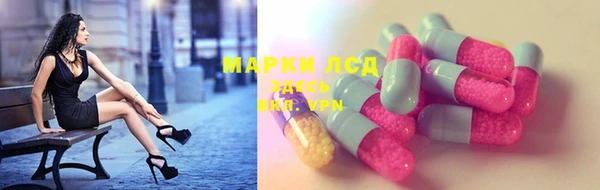 гидра Абаза