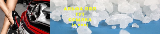 гидра Абаза