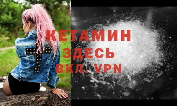 гидра Абаза