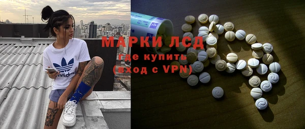 гидра Абаза