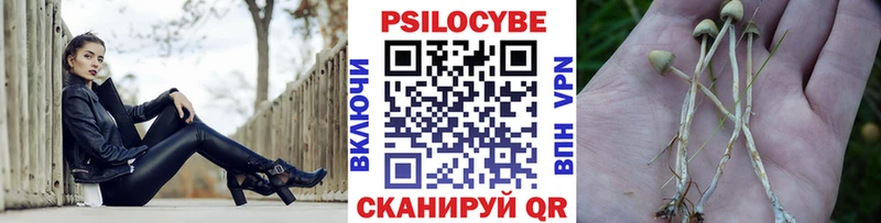 наркошоп Старый Крым Псилоцибиновые грибы GOLDEN TEACHER